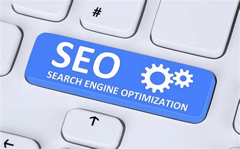 搜索引擎优化就是让网站获得搜索引擎收录（网站seo排名快速优化快排）