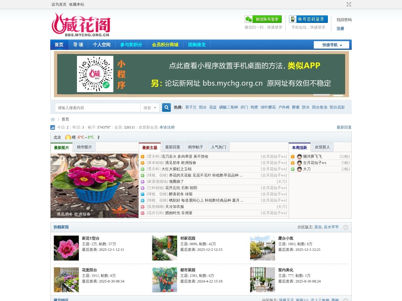 藏花阁花卉论坛